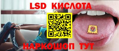 Альфа ПВП Малгобек