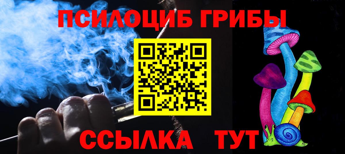Сарапул  Псилоцибиновые грибы прущие грибы  Вход с VPN 